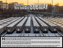 Load image into Gallery viewer, 2023 Edition PDF Digital Download