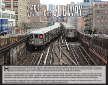 Load image into Gallery viewer, 2019 Print Edition